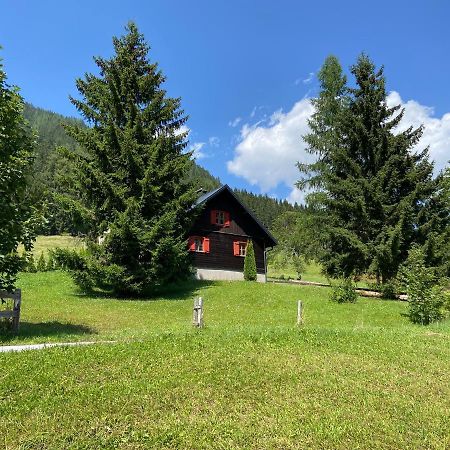 Villa Sonnenhütte Sankt Martin am Tennengebirge Exterior foto